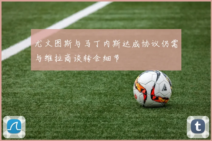尤文图斯与马丁内斯达成协议仍需与维拉商谈转会细节