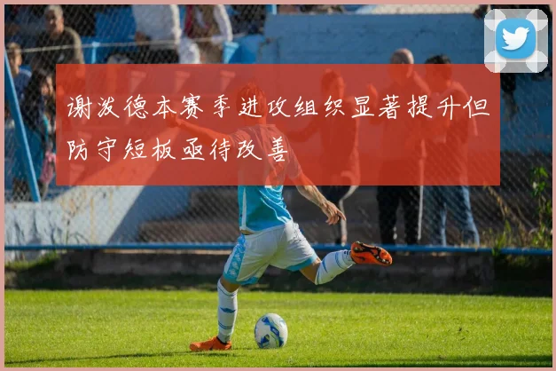 谢泼德本赛季进攻组织显著提升但防守短板亟待改善